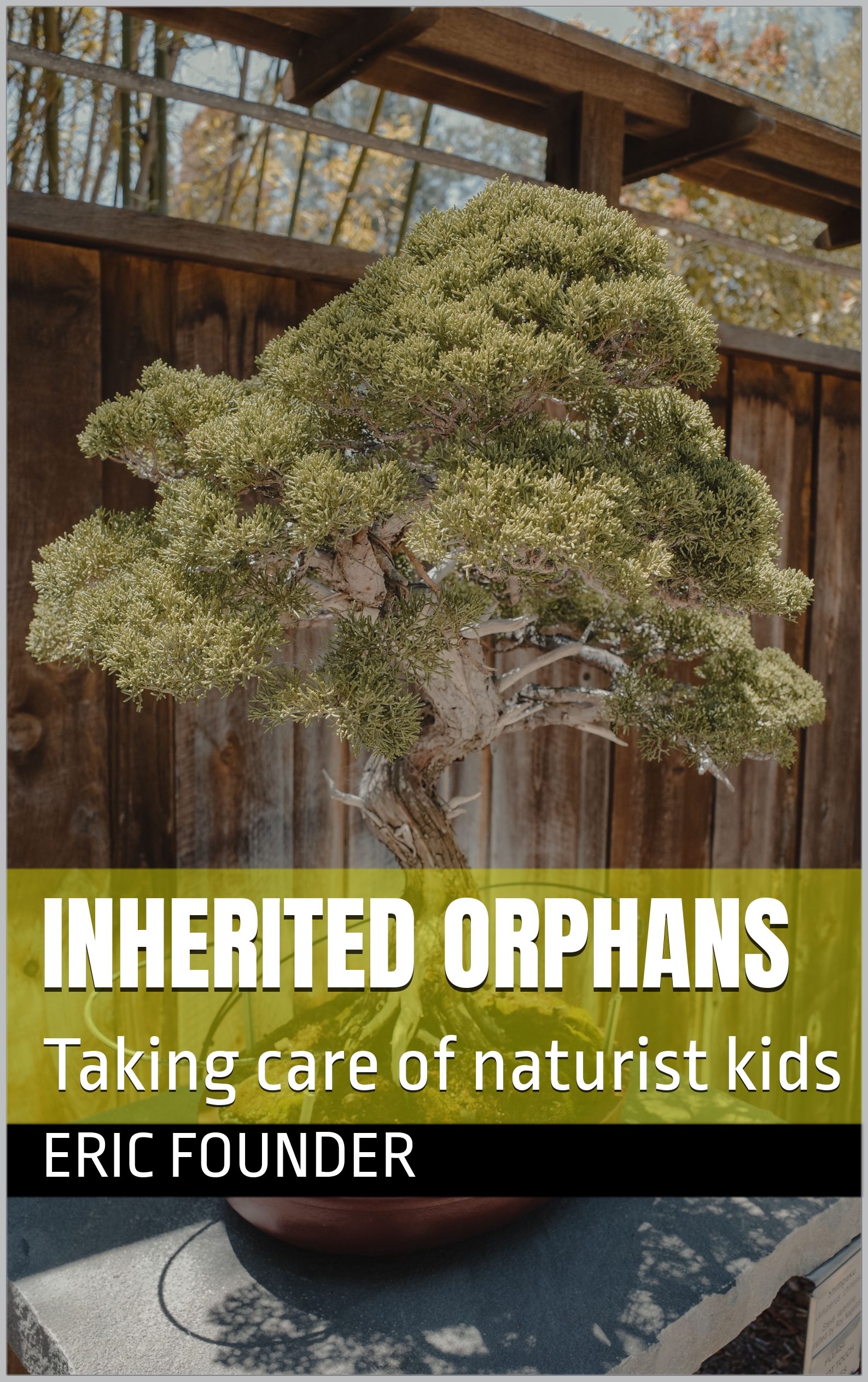 Cover of Inherited Orphans